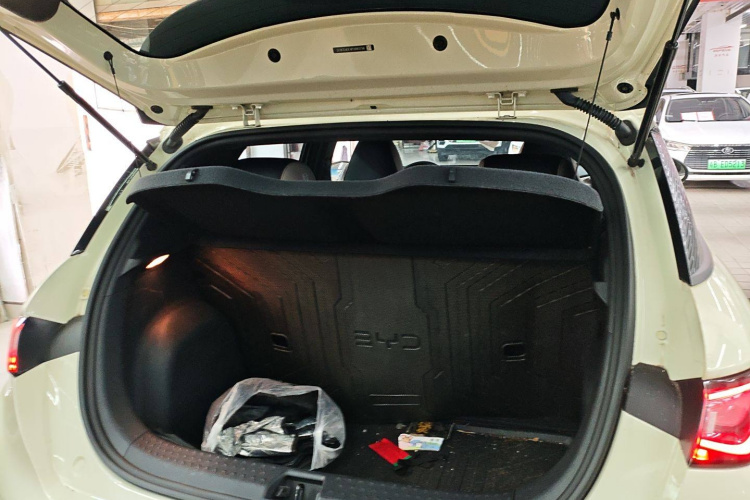 比亚迪 海豚 2023 汽车图片 #19