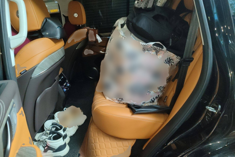 Tank 500 2024 #19 Tank 500 2024 imagen de coche #19