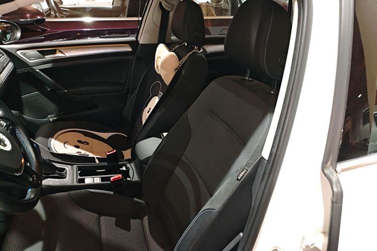 Volkswagen Golf Pure Electric 2020 car image #19