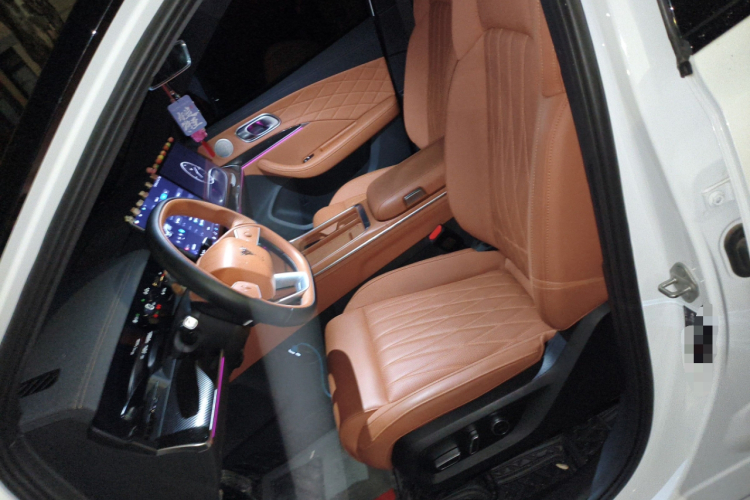 Neta L 2024 imagen de coche #19