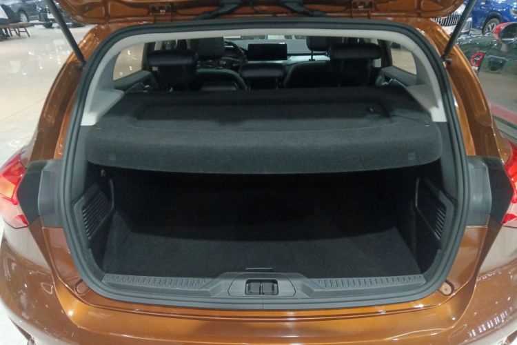 Ford Focus Active 2021 car image #19