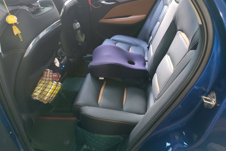 GEELY Tugella New Energy 2020 car image #19