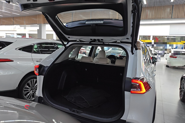 Toyota Wildlander 2024 imagem de carro #19