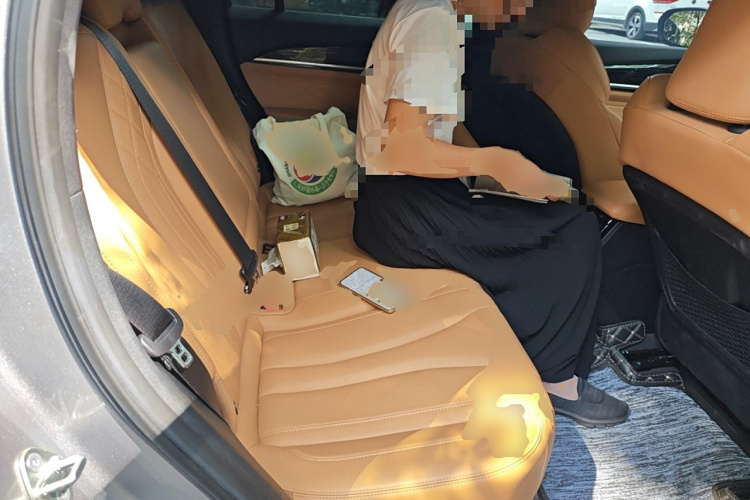 GEELY Monjaro EREV 2023 car image #19