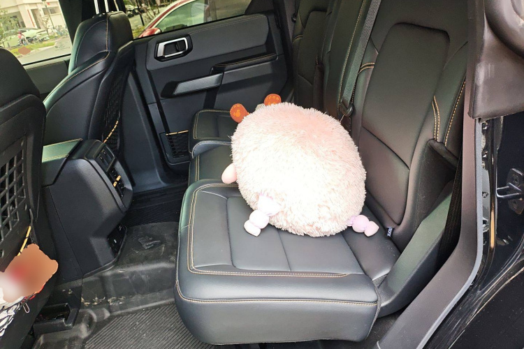 福特 福特烈马 2024 #19 福特 福特烈马 2024 汽车图片 #19