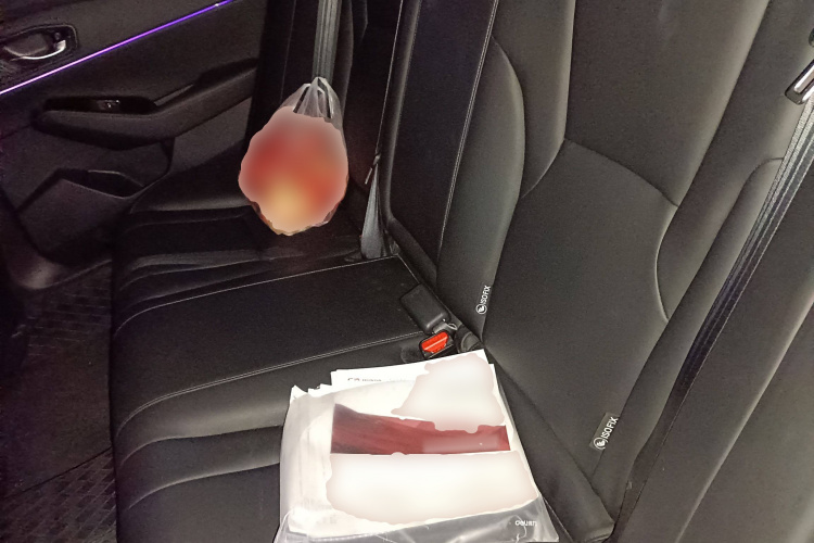 Honda Accord New Energy 2024 #19 Honda Accord New Energy 2024 car image #19