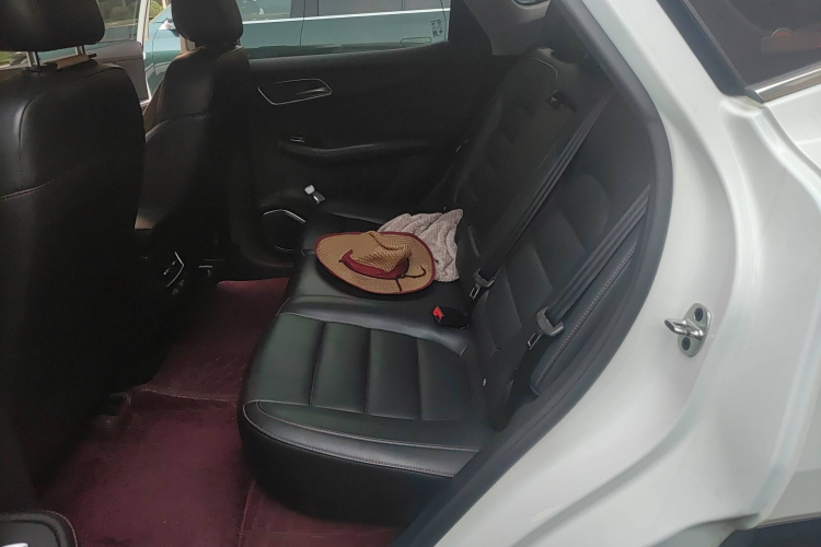 MG Pilot 2021 car image #19