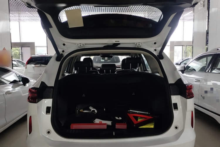 Haval H6 2025 car image #19