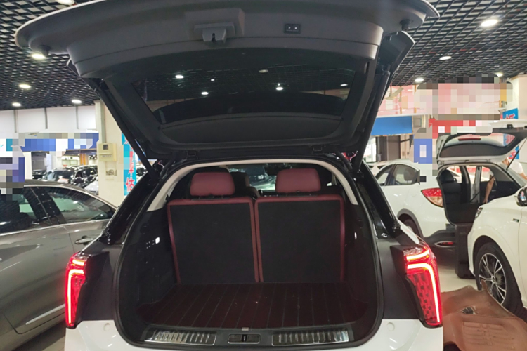 HongQi E-HS9 2021 immagine di auto #19