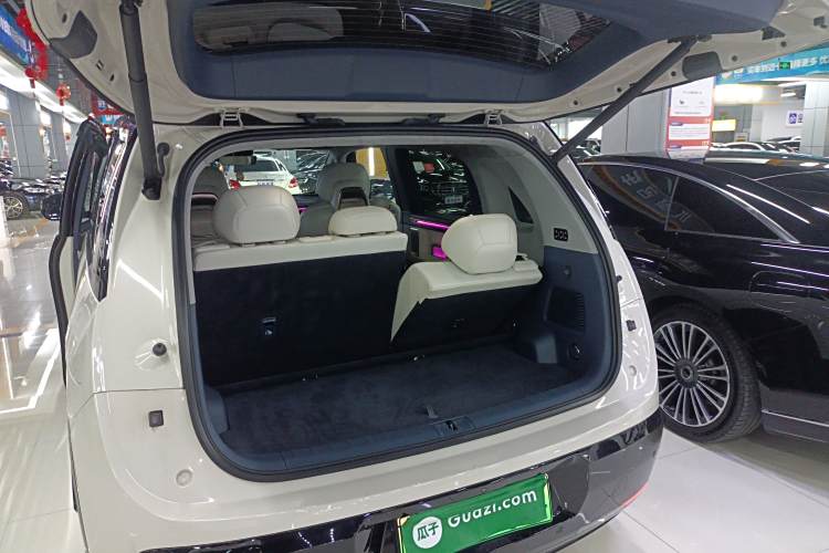 极氪 极氪MIX 2024 汽车图片 #19