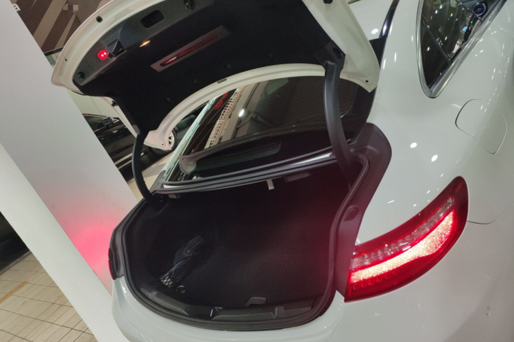 Mercedes-Benz E Class (Imported) 2020 car image #19