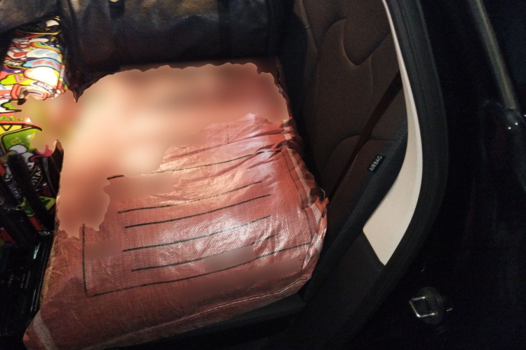 HongQi E-QM5 2023 #19 HongQi E-QM5 2023 imagem de carro #19