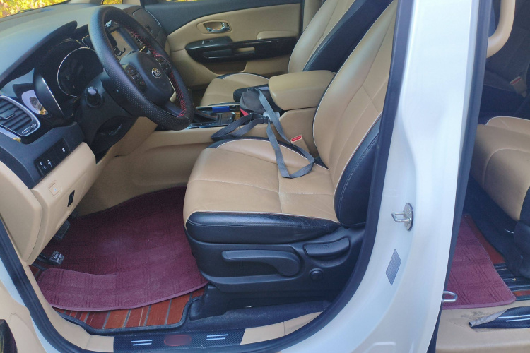 起亚 嘉华(进口) 2017 汽车图片 #19