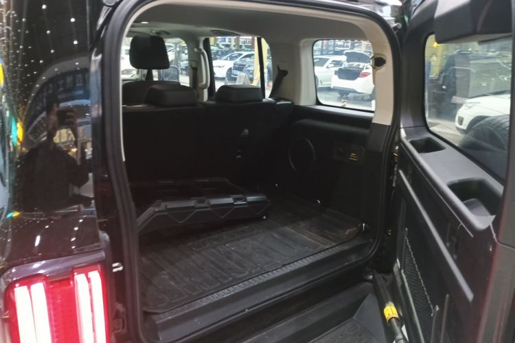 Tank 300 New Energy 2025 car image #19