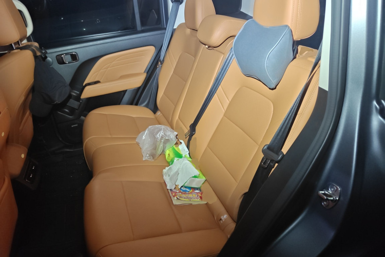 Haval Raptor 2024 car image #19