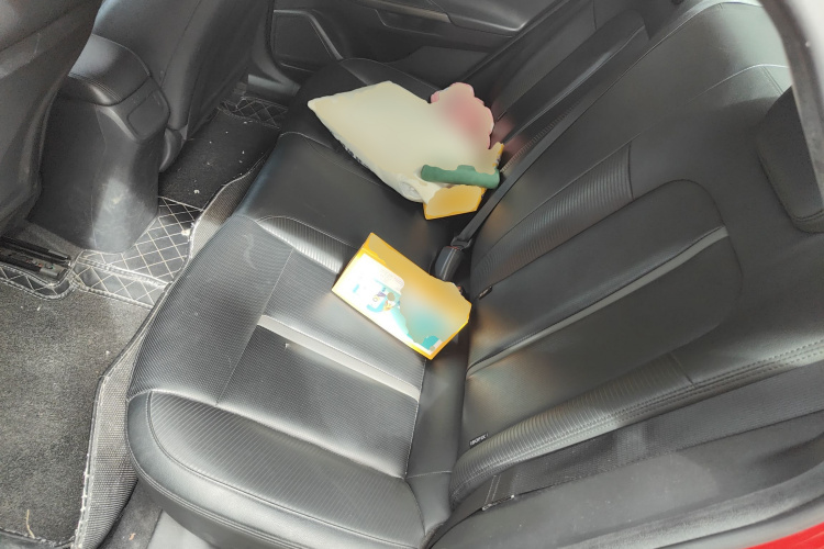 Hyundai Lafesta 2019 #19 Hyundai Lafesta 2019 car image #19