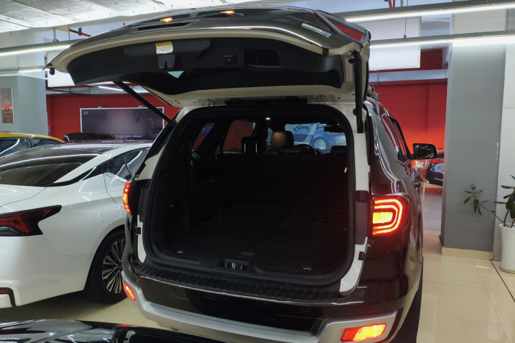 Ford Everest 2020 car image #19