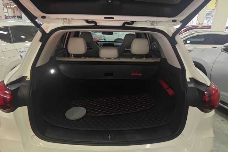 MG Pilot 2021 car image #19