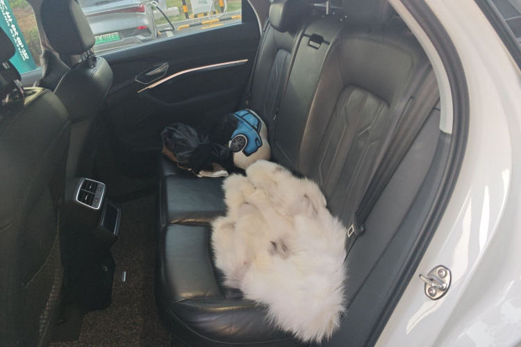 Audi e-tron (Imported) 2021 car image #19