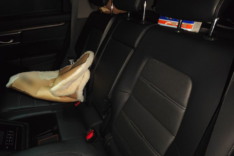 Honda CR-V New Energy 2021 car image #19