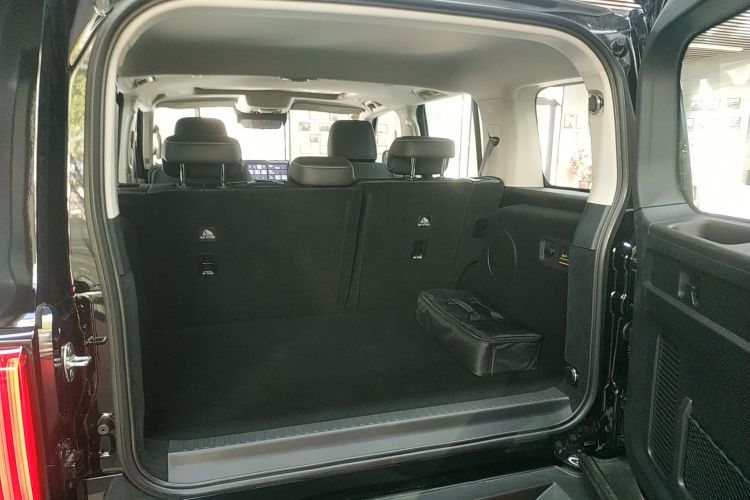 Tank 300 New Energy 2025 car image #19