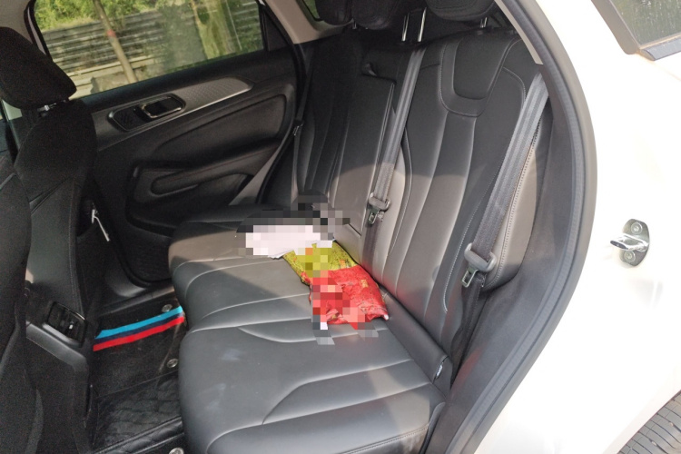 Haval Fierce Dragon 2024 car image #19