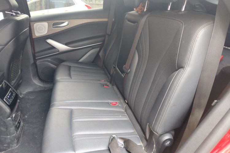 Denza X 2021 car image #19