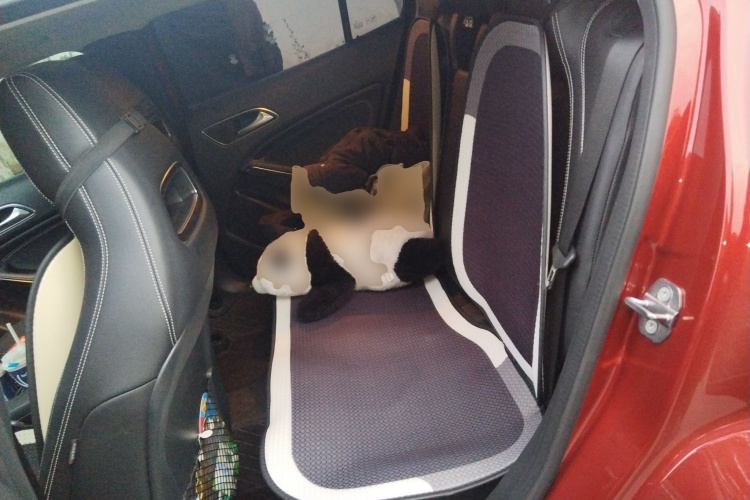 Mercedes-Benz GLA Class (Imported) 2018 car image #19