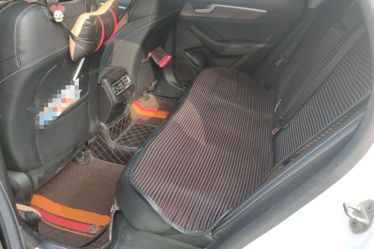 BYD Qin Pro New Energy 2019 car image #19