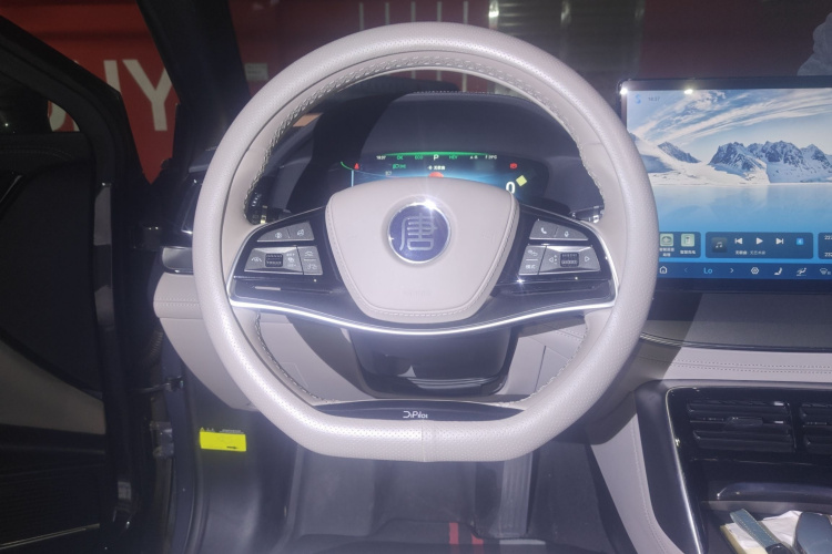 BYD Tang New Energy 2024 car image #19