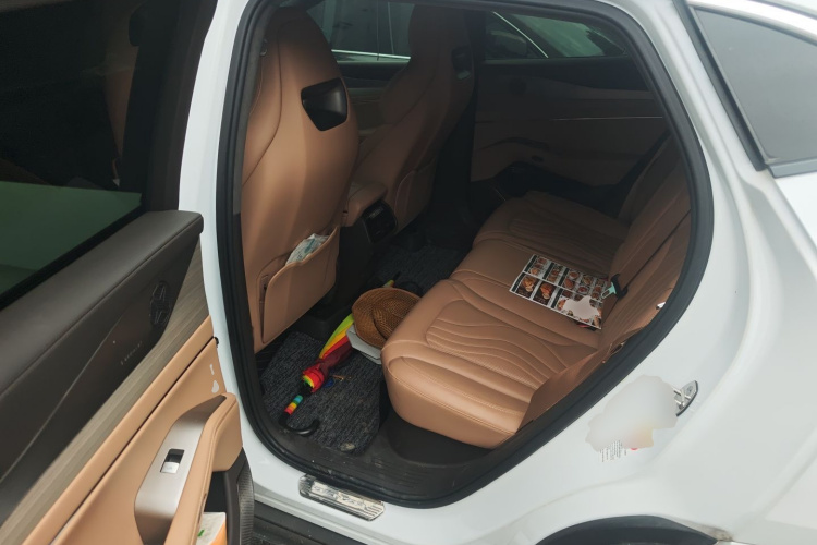 Denza N7 2023 car image #19