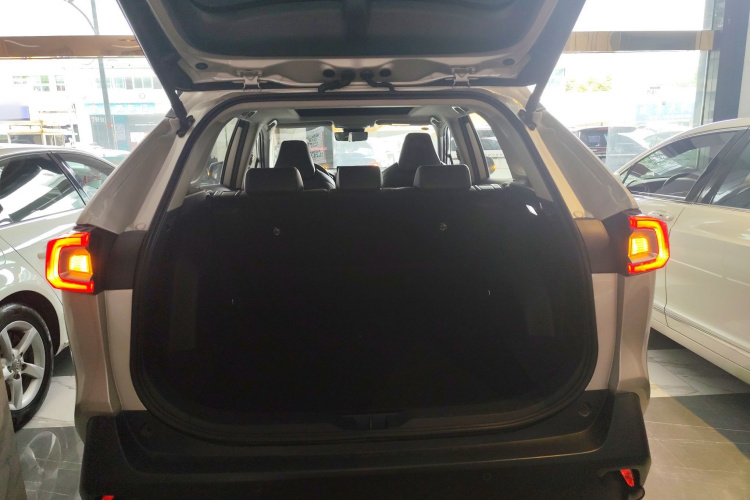 Toyota Wildlander 2023 imagem de carro #19