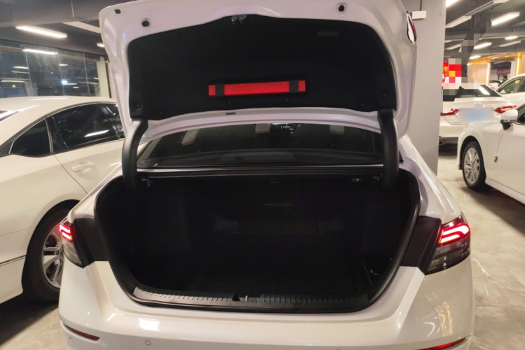 BYD F3R 2024 car image #19