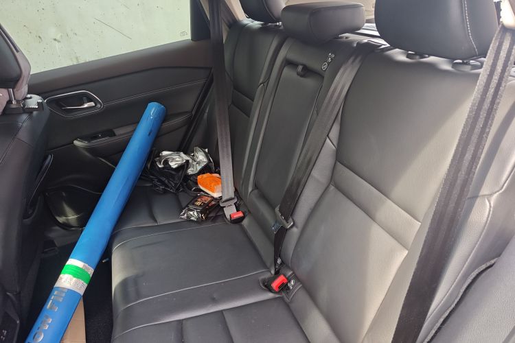 日产 奇骏(进口) 2021 汽车图片 #19