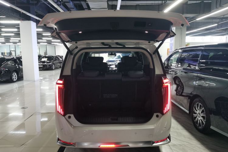 GAC Trumpchi Xiangwang M8 2025 car image #19