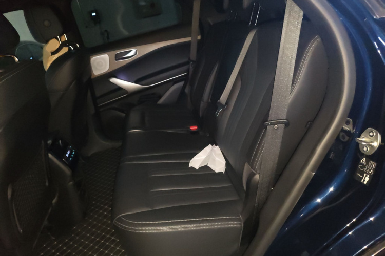 Denza X 2021 изображение автомобиля #19