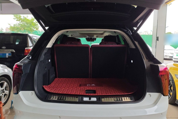 HongQi E-HS9 2021 immagine di auto #19