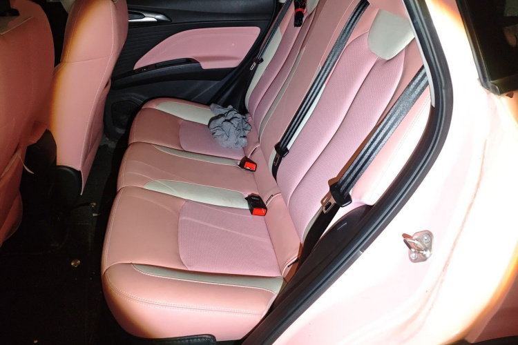 Neta V 2022 #19 Neta V 2022 изображение автомобиля #19