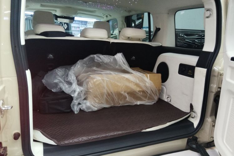 Tank 300 New Energy 2025 #19 Tank 300 New Energy 2025 car image #19