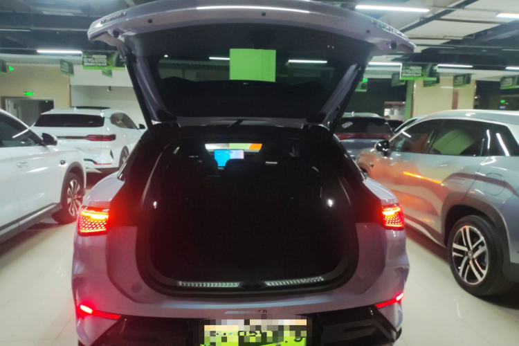 BYD Sea Lion 07 EV 2024 car image #19