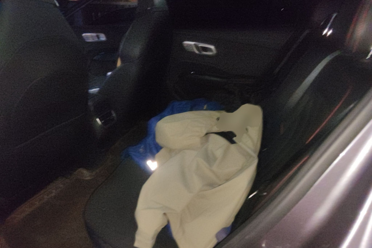 哪吒汽车 哪吒X 2023 汽车图片 #19