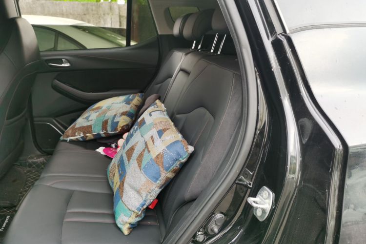 GAC Trumpchi GS4 New Energy 2021 car image #19