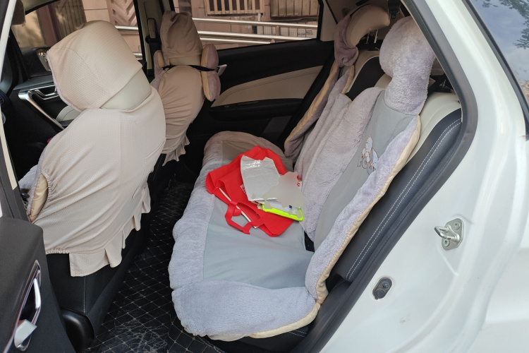 睿蓝汽车 枫叶30X 2021 汽车图片 #19