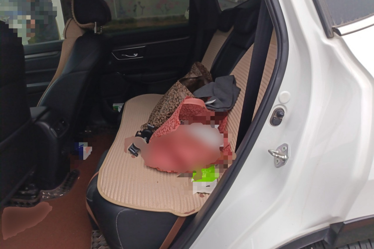 Honda CR-V New Energy 2021 car image #19