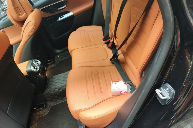 Mercedes-Benz GLC Class New Energy 2025 imagen de coche #19