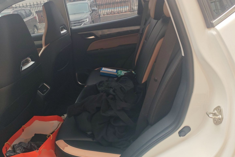 GEELY OkavangoR7 2024 car image #19