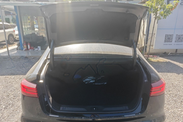 GAC Trumpchi GA8 2020 car image #19