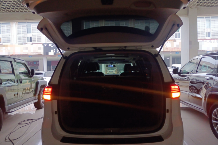 Kia Carnival (Imported) 2018 car image #19