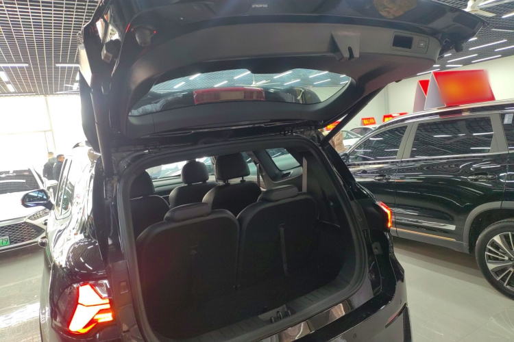 GEELY Okavango L 2024 imagem de carro #19