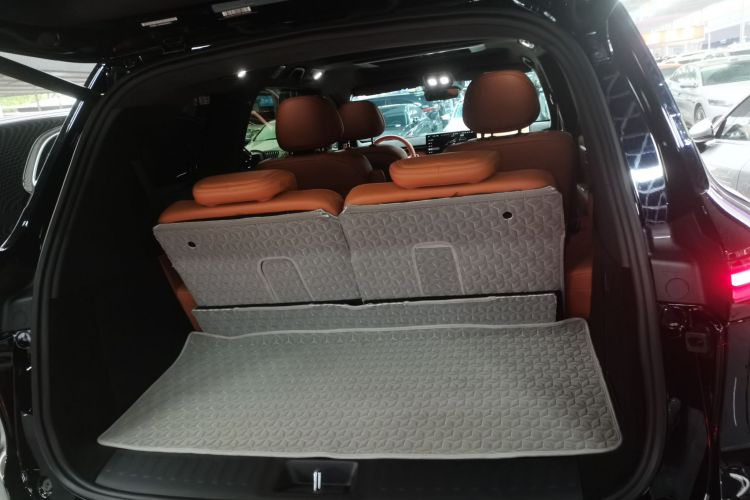 Deepal S09 2025 car image #19